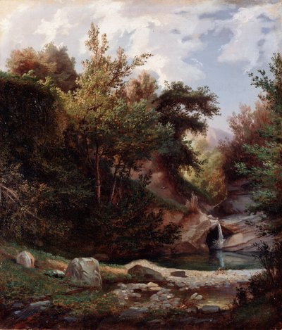 Természeti táj, aljnövényzet és patak vízeséssel Domenico Cambiaso (1811-1894) festménye 1865 körül. Méret: 43,5x37 cm Gének, Galleria d