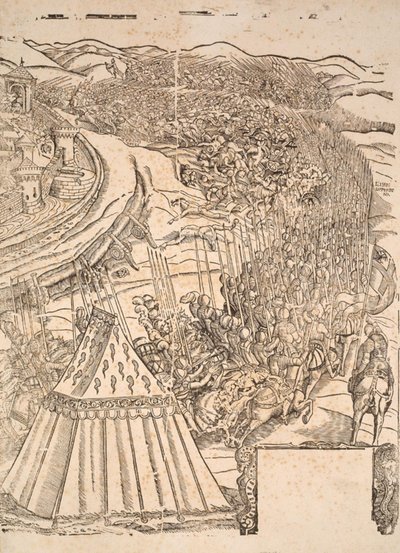 Goleta elfoglalása Tuniszban, Carl V alkotó: Domenico dei Franceschi