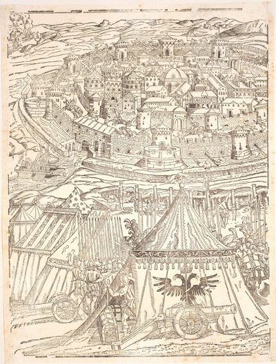 Goleta elfoglalása Tuniszban, Carl V alkotó: Domenico dei Franceschi