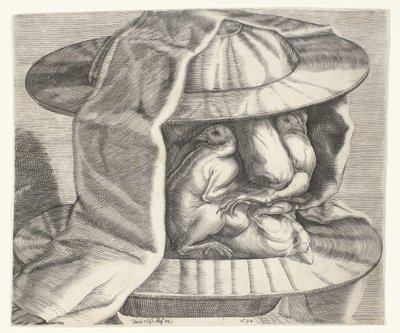 Groteszk fej sisakkal Arcimboldo stílusában Groteszk fej sisakkal Arcimboldo stílusában alkotó: Dominicus Custos