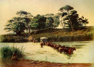 „Bullock Waggon Crossing a Drift on the Umbelois River-Swaziland”, 1902. alkotó: Donald McCracken