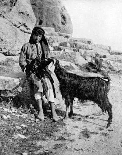 Arab fiú és kecske, Közel-Kelet, 1936. alkotó: Donald McLeish