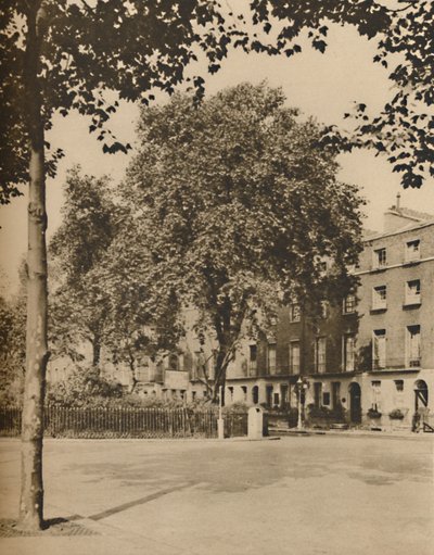 Panzióban: The Plane Trees of Torrington Square, 1935. alkotó: Donald McLeish