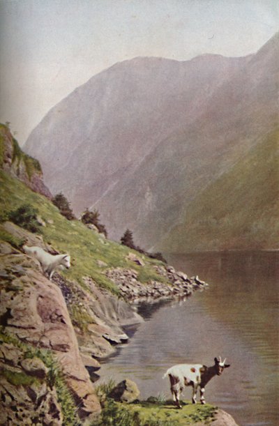 Norvégia, 1930-as évek alkotó: Donald McLeish