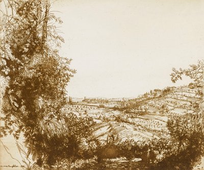 Olive Groves alkotó: Donald Shaw MacLaughlan