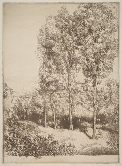 Napfény és árnyékok, 3. sz. alkotó: Donald Shaw MacLaughlan