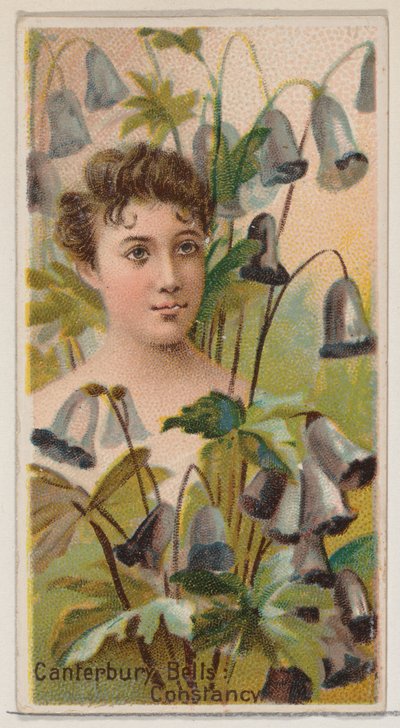 Canterbury Bells: Constancy, a Virág szépségei és a Virágok nyelve sorozatból N75..., 1892. alkotó: Donaldson Brothers