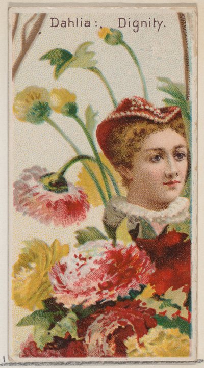 Dahlia: Méltóság, a Virágszépségek és a Virágok nyelve című sorozatból N75 Duke br..., 1892. alkotó: Donaldson Brothers