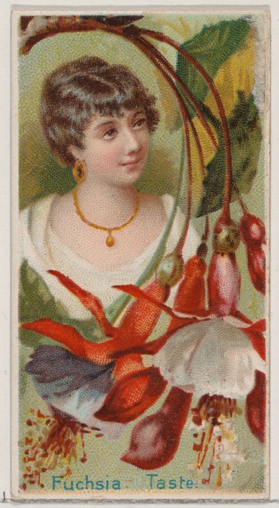 Fukszia: Íz, a Virágszépségek és a Virágok nyelve sorozatból N75 Duke melltartóhoz..., 1892. alkotó: Donaldson Brothers