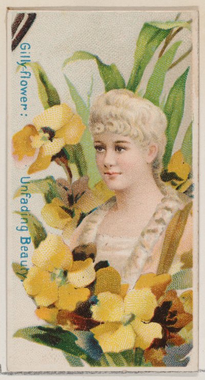Gilly-flower: Fading Beauty, a Virágszépségek és a Virágok nyelve sorozatból N7..., 1892. alkotó: Donaldson Brothers