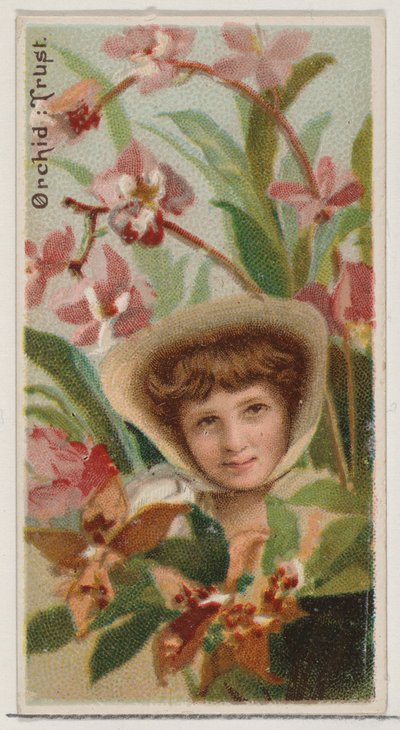 Orchidea: Trust, a Virágszépségek és a Virágok nyelve sorozatból N75 Duke Bran..., 1892. alkotó: Donaldson Brothers