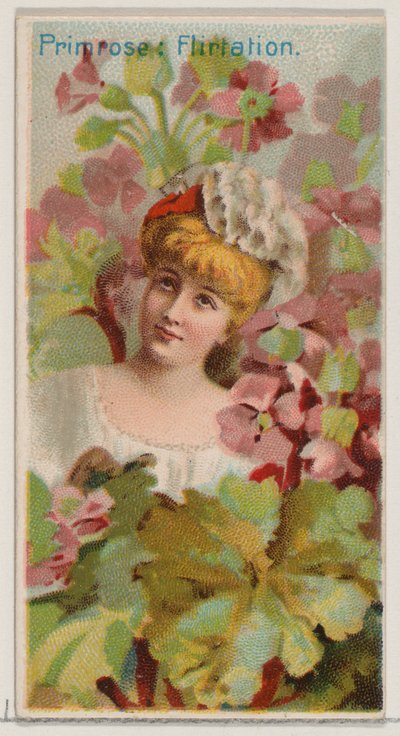 Primrose: Flört, a Virágszépségek és a Virágok nyelve című sorozatból N75 for Du..., 1892. alkotó: Donaldson Brothers