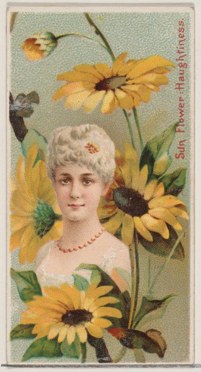 Napraforgó: Gőgösség, a Virágszépségek és a Virágnyelv N75 sorozatból, ..., 1892. alkotó: Donaldson Brothers