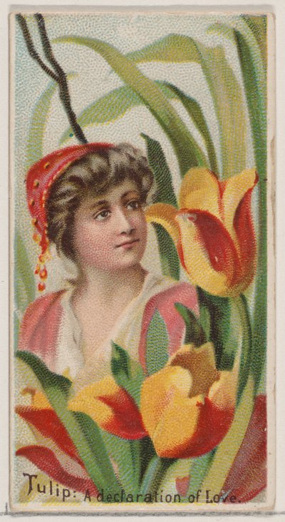Tulipán: A szerelem nyilatkozata, a Virágok szépségei és a Virágok nyelve sorozatból N75..., 1892. alkotó: Donaldson Brothers