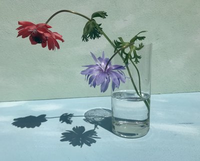 Élénk virágárnyékok alkotó: Donatella Basso