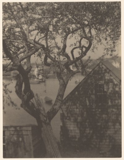 Kikötői jelenet, valószínűleg Gloucester, Massachusetts alkotó: Doris Ulmann