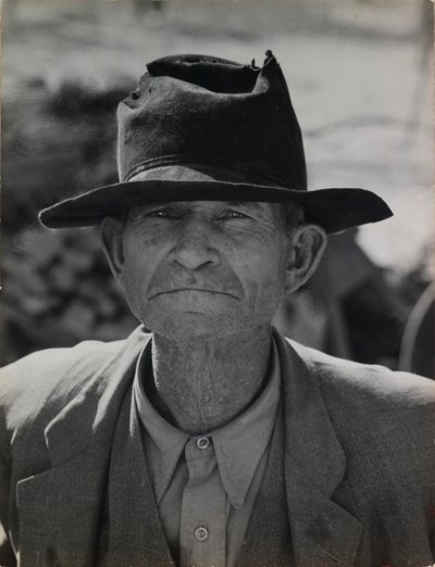 Volt bérlő gazdálkodó a Relief Grantben, Imperial Valley, Kalifornia alkotó: Dorothea Lange