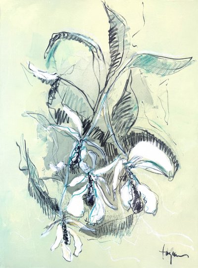 Finom orchidea-vázlat alkotó: Dorothy Fagan