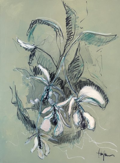 Elegáns orchidea-vázlat alkotó: Dorothy Fagan