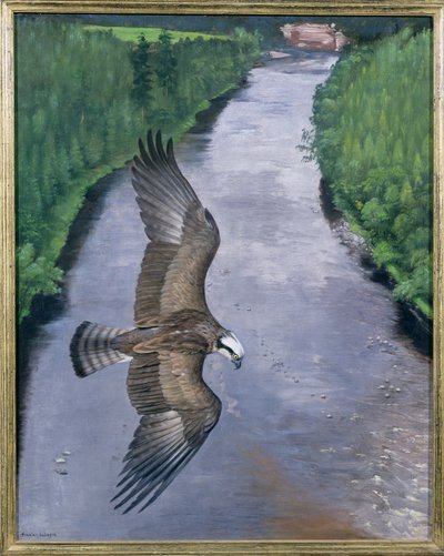 Osprey Horgászat alkotó: Douglas Anderson