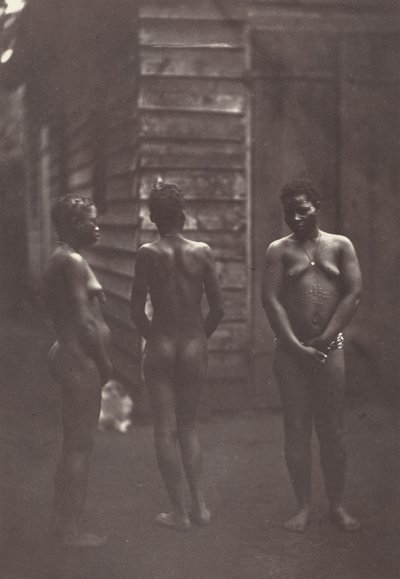 Három madagaszkári nő (30. tábla),1863 (fénykép) alkotó: Désiré Charnay