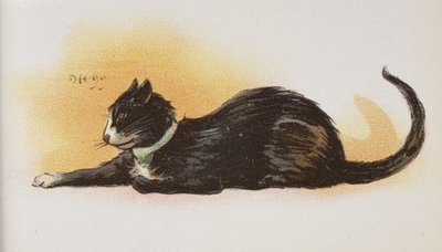 Egy macska. alkotó: Dudley Hardy