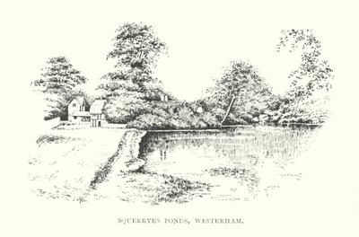 Squerryes Ponds, Westerham (litográfia) alkotó: Duncan Moul