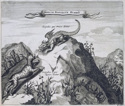 Egy hegy Jiangxi tartományban a Sárkány és a Tigris néven ismert sziklákkal, Kínából Illusztrálta: Athanasius Kircher (1601-80) 1667 alkotó: Dutch School