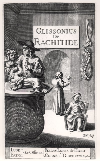 Francis Glisson (1597-1677) Leidenben, 1671-ben jelent meg alkotó: Dutch School