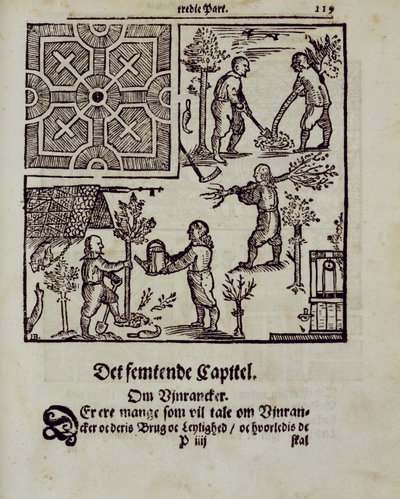 Fák ültetése, Johann van der Groen A holland kertész című művéből, 1699-ben alkotó: Dutch School