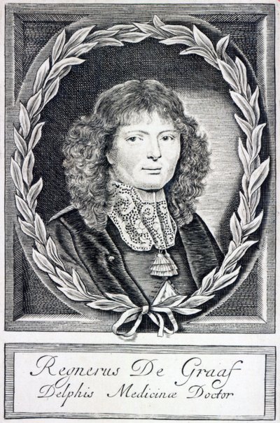 Regnier de Graaf, 1670 körül alkotó: Dutch School