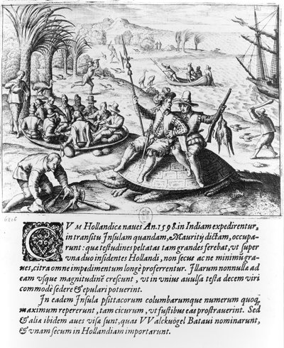 A hollandok Mauritiuson 1598-ban, metszett de Bry alkotó: Dutch School