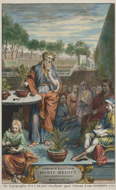 Címlap a "Horti Medici Amstelodamensis Rariorum Plantarum Historia" II. kötetéből, írta Jan Commelin és Caspar Commelin. alkotó: Dutch School