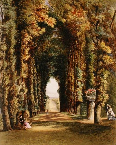 "Vista" a Teddesley-i kertekben, az 1857-ben megjelent "The Gardens of England" című könyvből (színes litográfia) alkotó: E. Adveno Brooke