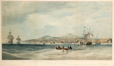Dundee kilátása a folyóról alkotó: E. Duncan