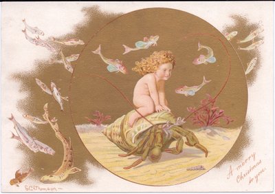 Viktoriánus karácsonyi üdvözlőlap egy kagylóban lévő remeterákról, akit egy halraj veszi körül, Gertrude Thompson, 1895 körül (színes litó) alkotó: E. Gertrude Thompson