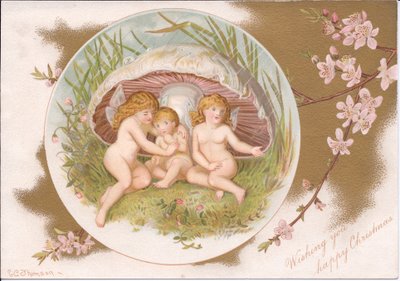 Viktoriánus karácsonya tündérek egy csoportjának, akik menedéket keresnek az eső elől egy gombagomba alatt, Gertrude Thompson, 1895 körül (színes litó) alkotó: E. Gertrude Thompson