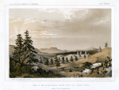 The Black Forest Mount Hope és Sierra Prieta, USA, 1856. alkotó: E Stout