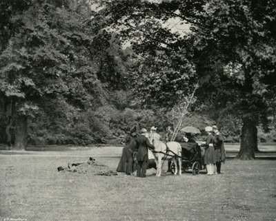 Őfelsége fát ültetett a Buckingham-palota területén a jubileum emlékére, június alkotó: E. and S. Woodbury