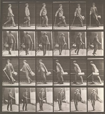 Állati mozgás. Az állatok mozgásának elektro-fotográfiai vizsgálata. Kezdje..., 1880-as évek. alkotó: Eadweard Muybridge