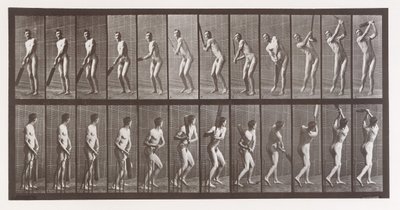 Állati mozgás. Az állatok egymást követő fázisainak elektro-fotográfiai vizsgálata ..., 1880-as évek. alkotó: Eadweard Muybridge