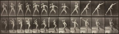 Animal Locomotion, 319. tábla, 1887. alkotó: Eadweard Muybridge
