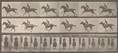 [Ló és lovas vágta], 1883-86, nyomtatva 1887. alkotó: Eadweard Muybridge