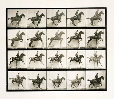 Ember és ló kerítést ugrál, 1887 alkotó: Eadweard Muybridge