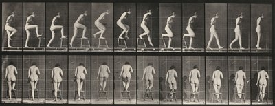 180-as táblaszám. Székre és székre lépés, 1887. alkotó: Eadweard Muybridge