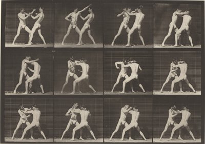 340. számú tábla. Boksz, nyitott kézi cipő, 1887. alkotó: Eadweard Muybridge