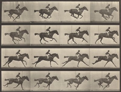 626. rendszám. Vágta, telivér öböl kanca, Annie G., 1887. alkotó: Eadweard Muybridge