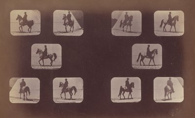Előrövidülések tanulmányai. Lovak. Séta. Mohamed. 1879. 119-120. sz. alkotó: Eadweard Muybridge