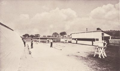 A mozgásban lévő ló azonnali fényképezéssel. Tanulmánnyal az állatokról..., 1881-1882. alkotó: Eadweard Muybridge