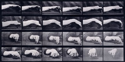 Mozgástanulmány egy kézről, 1872-1885 körül alkotó: Eadweard Muybridge